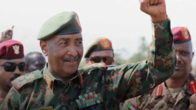 البرهان يضع 4 ولايات في صدارة الاهتمام بالمشروعات الزراعية